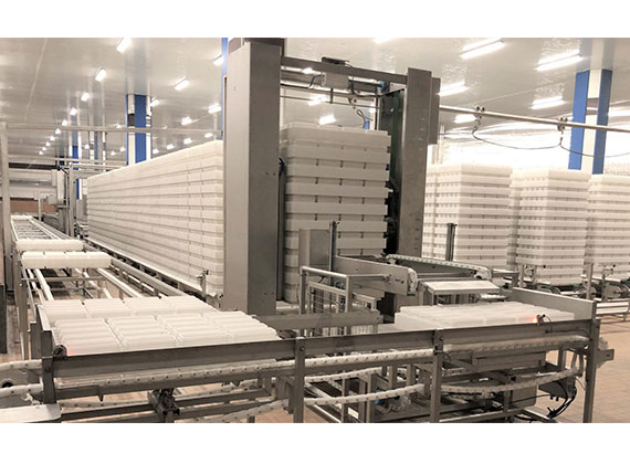 insol feta FULL AUTOMATED CLEAN MOLDS LINE