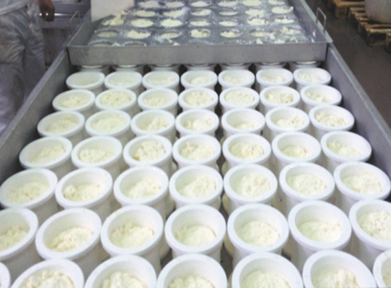 insol ricotta production line