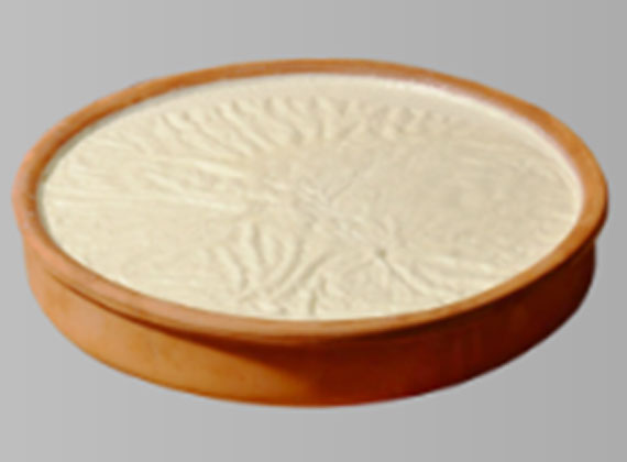 insol yellow cheese production line