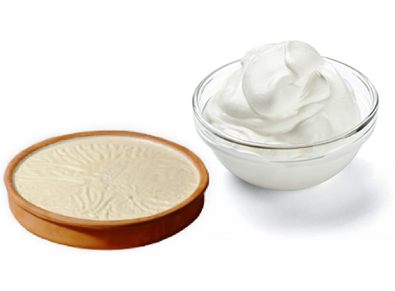 insol ltd yoghurt production